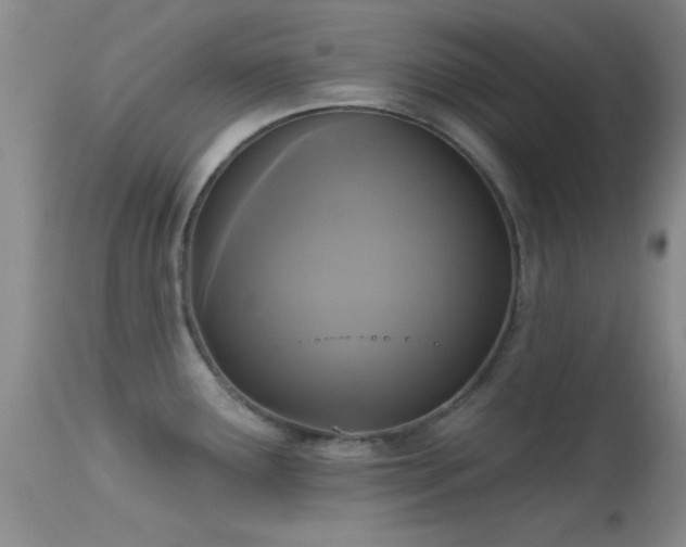 X0000113611291200909251133