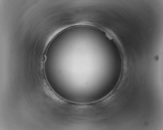 X0000113611292200909251133