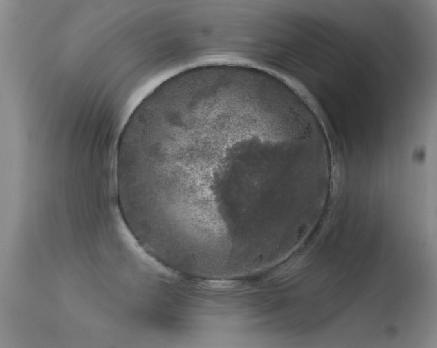 X0000113611295200909251133