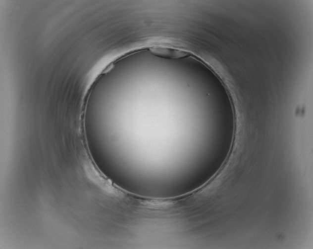 X0000113611296200909251133