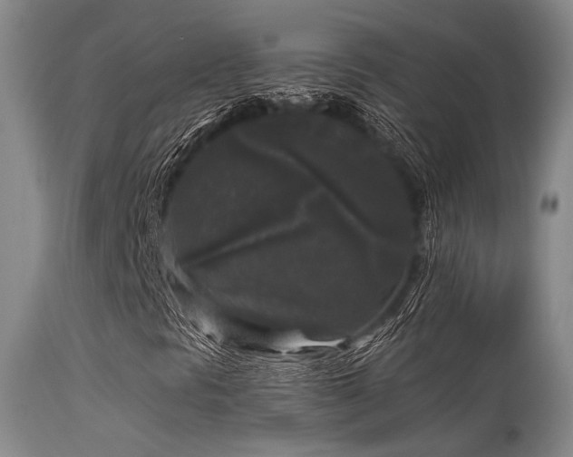 X0000113611297200909251132