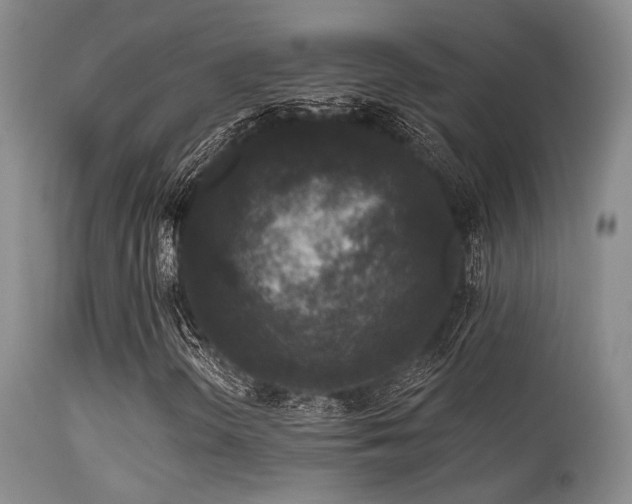 X0000113611298200909251132