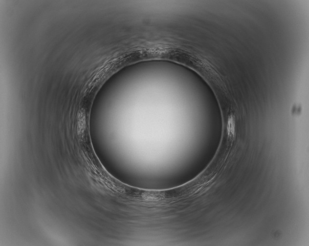 X0000113611299200909251132