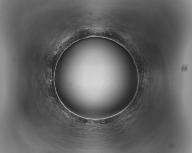 X0000113611301200909251132