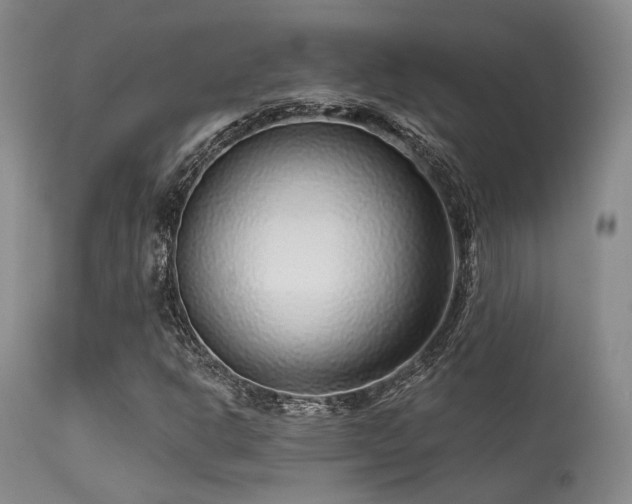 X0000113611302200909251132