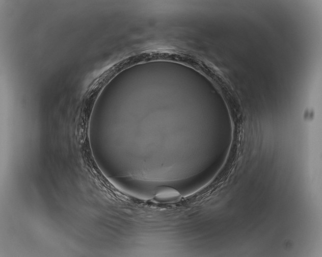 X0000113611303200909251132