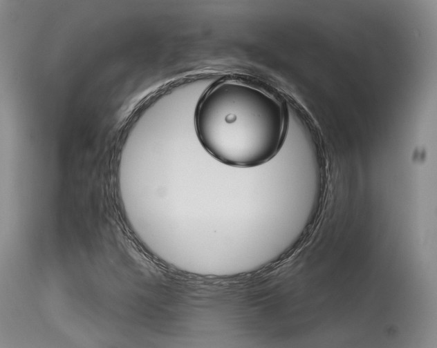 X0000113611304200909251132