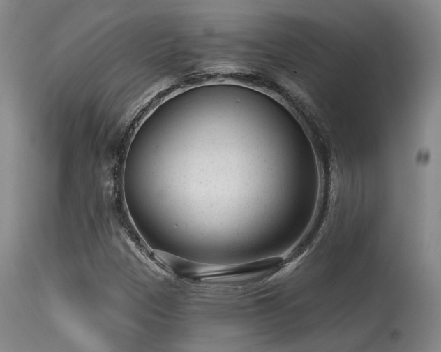 X0000113611305200909251133