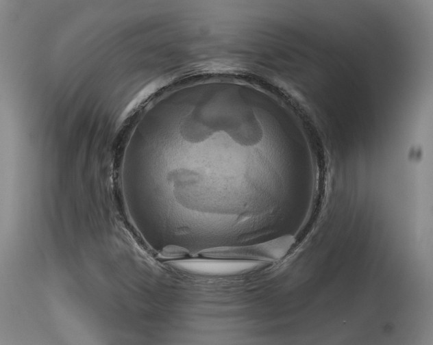 X0000113611306200909251133