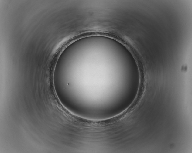 X0000113611307200909251133