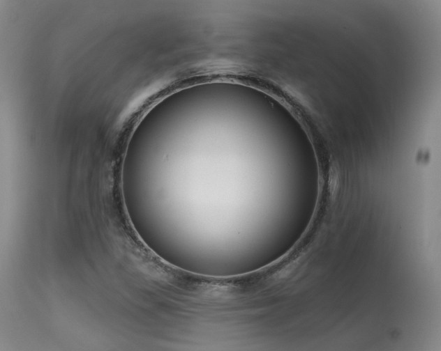 X0000113611309200909251133