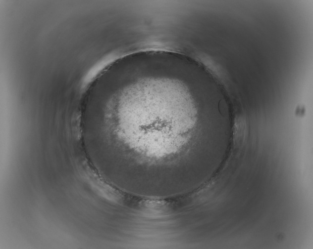 X0000113611310200909251133