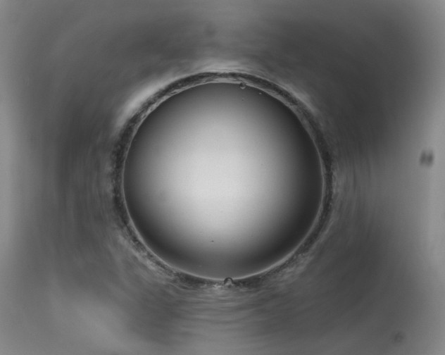 X0000113611311200909251133