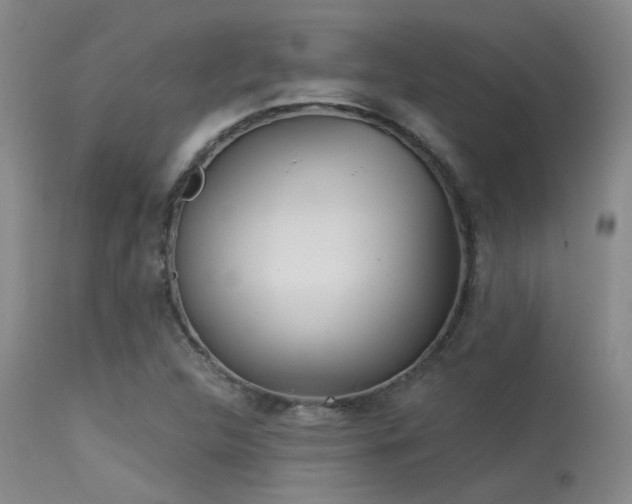 X0000113611312200909251133