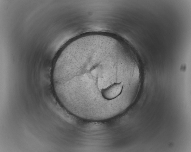 X0000113611314200909251133