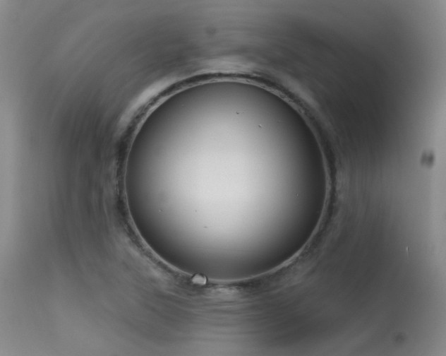 X0000113611315200909251133