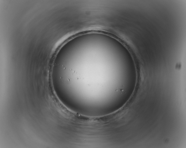 X0000113611316200909251133