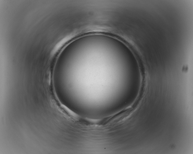 X0000113611317200909251133