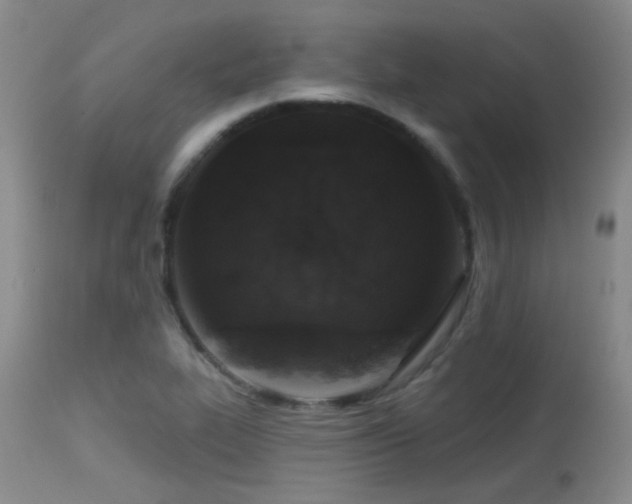 X0000113611319200909251133