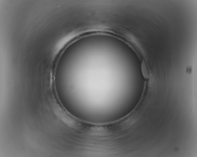 X0000113611320200909251133