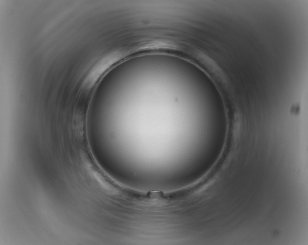 X0000113611321200909251133