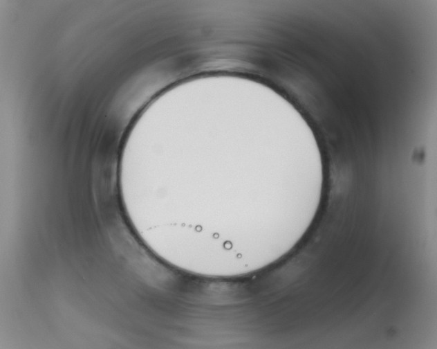 X0000113611322200909251133