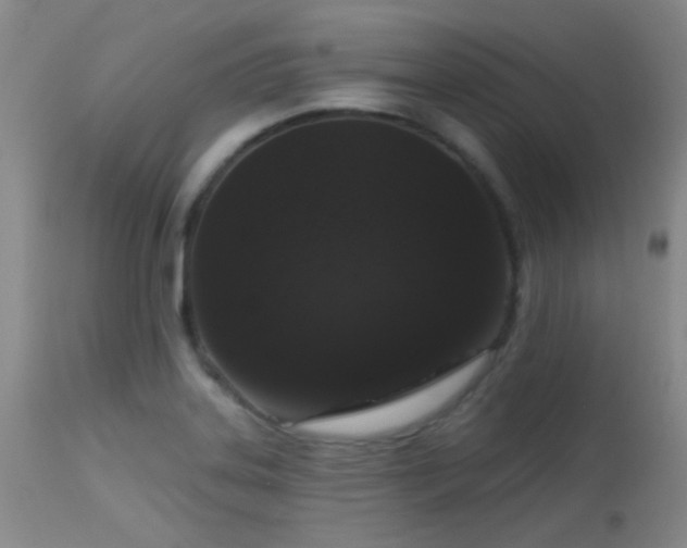 X0000113611323200909251133