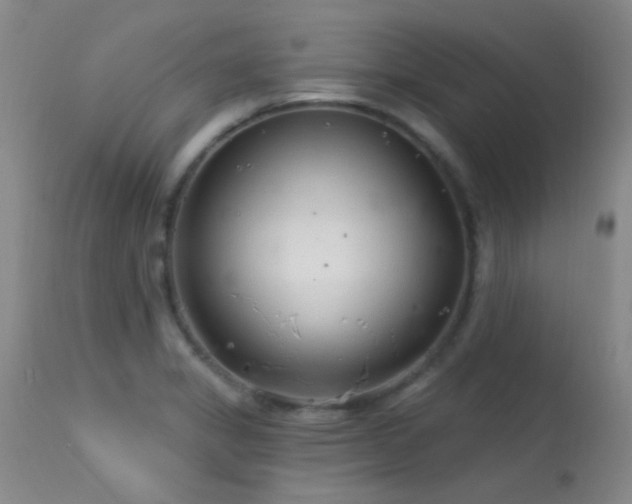 X0000113611325200909251133