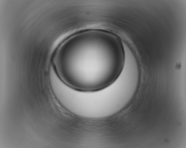 X0000113611328200909251133