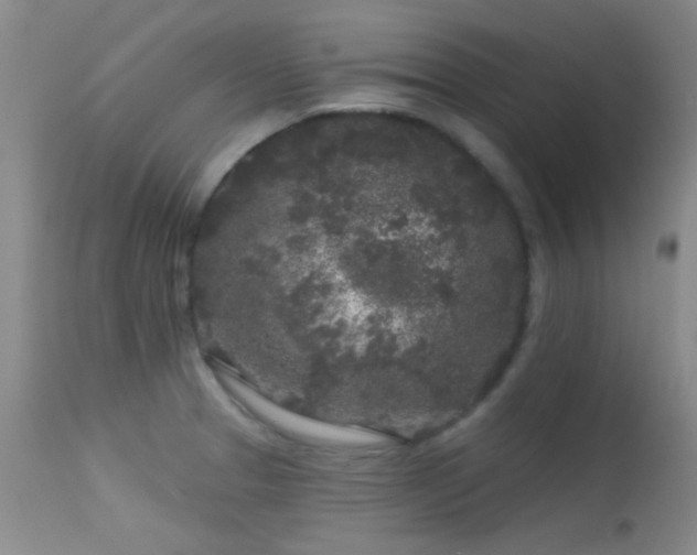 X0000113611329200909251133