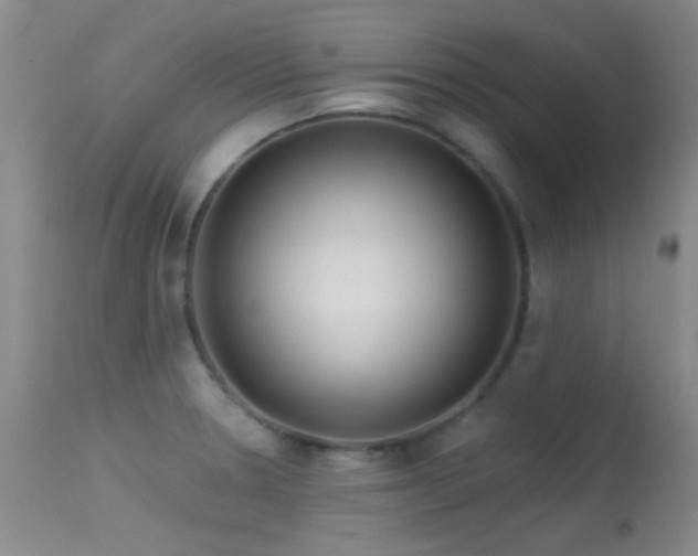 X0000113611330200909251133