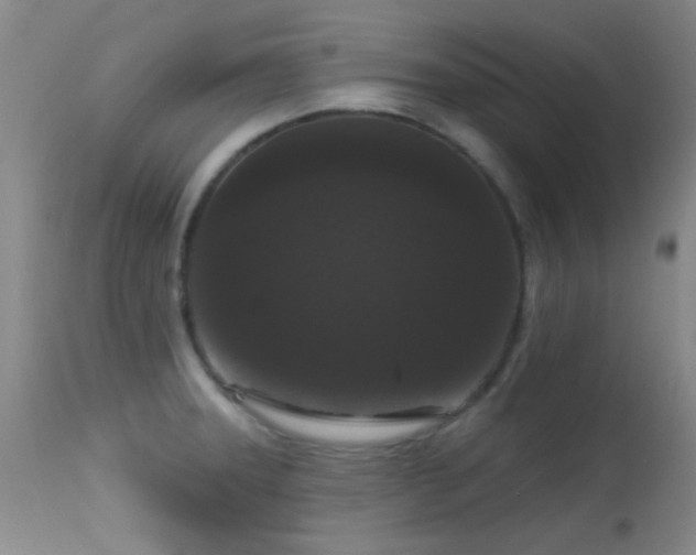 X0000113611331200909251133