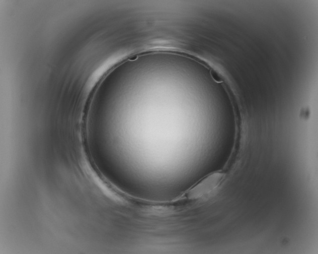 X0000113611333200909251133