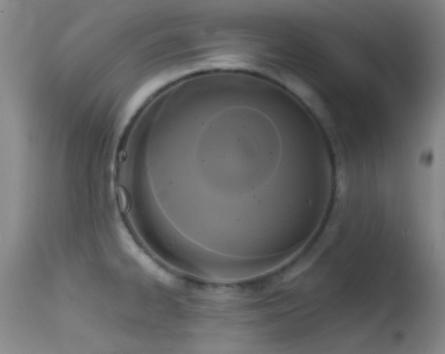 X0000113611334200909251133