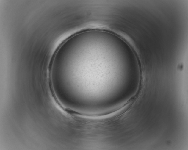 X0000113611335200909251133