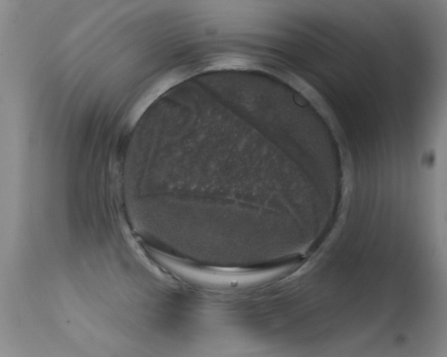 X0000113611337200909251133