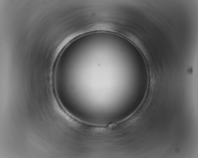 X0000113611339200909251133