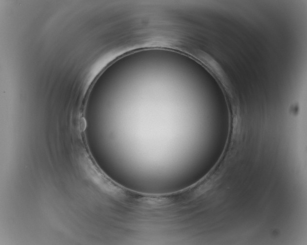 X0000113611340200909251133