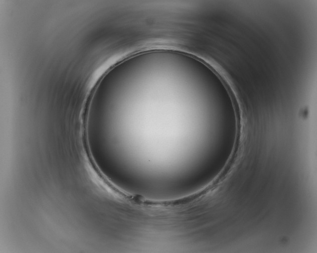 X0000113611341200909251133