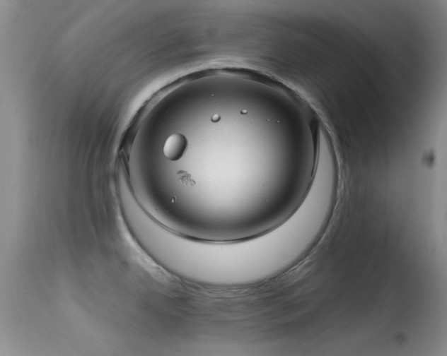 X0000113611342200909251133