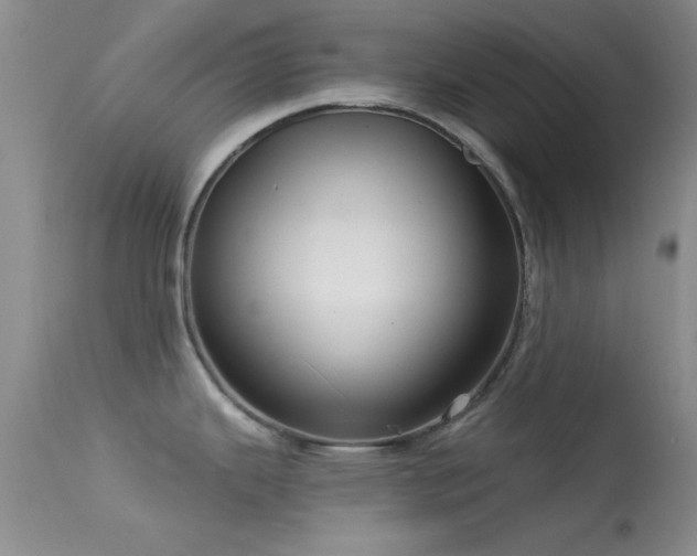 X0000113611343200909251133