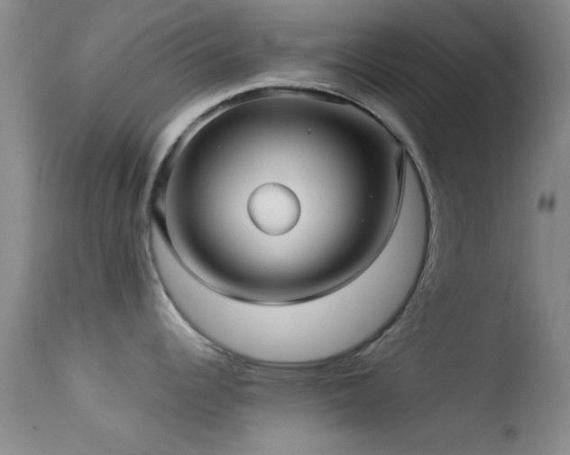 X0000113611344200909251133