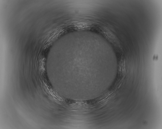 X0000113611346200909251132