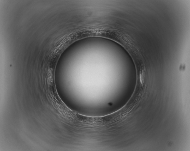 X0000113611347200909251132