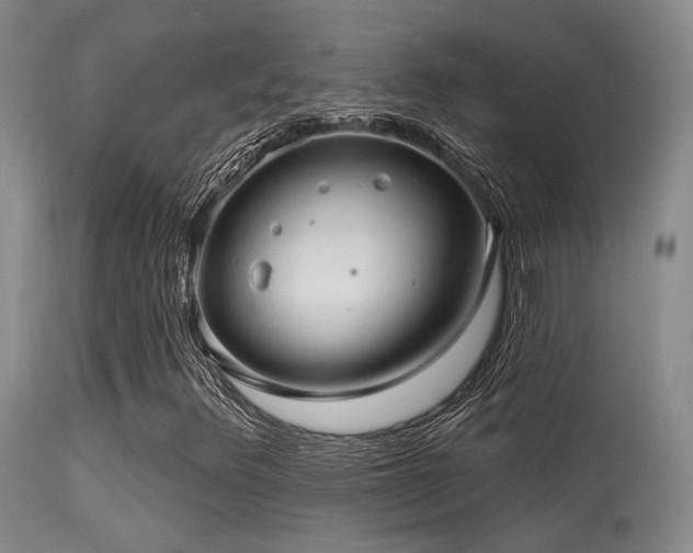 X0000113611348200909251132