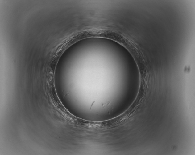 X0000113611349200909251132