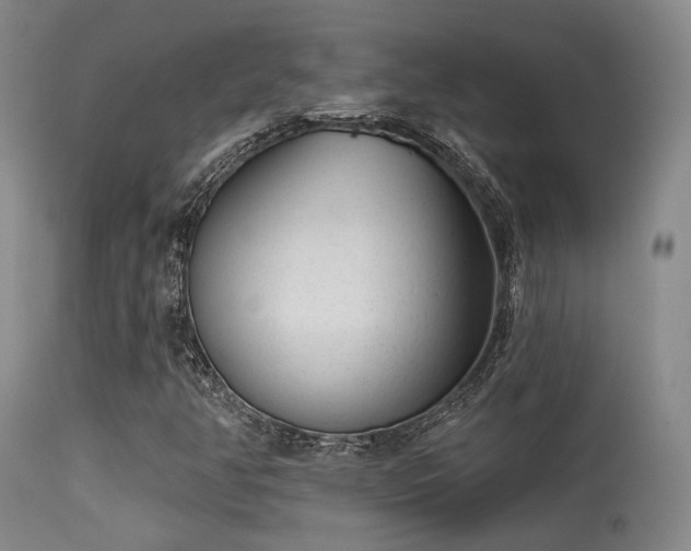 X0000113611350200909251132