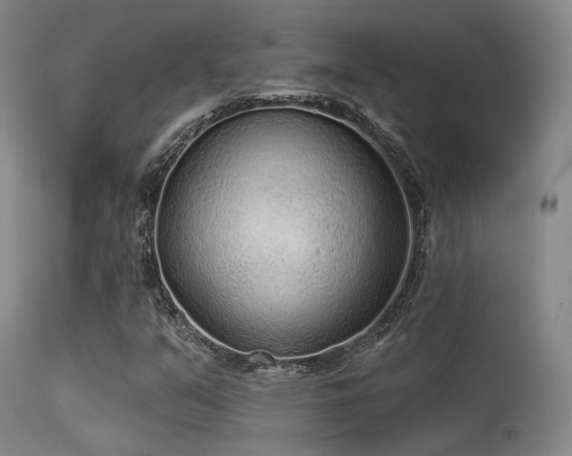 X0000113611351200909251132