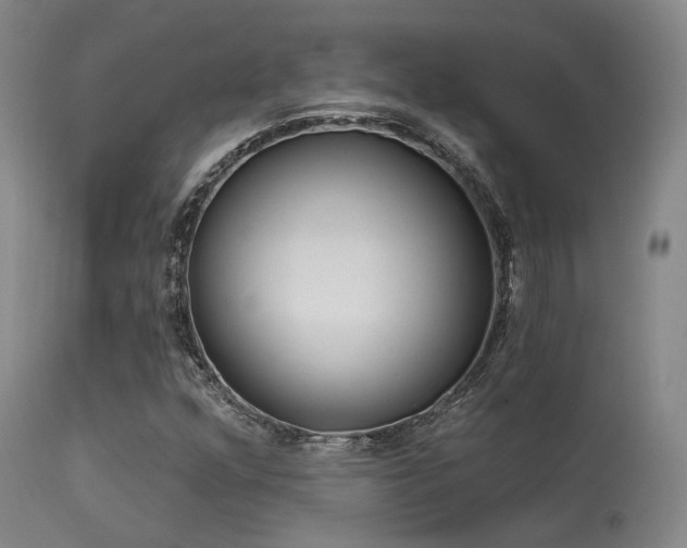 X0000113611352200909251132