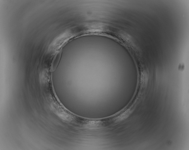 X0000113611353200909251132